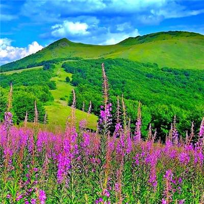公主与勇士手游下载